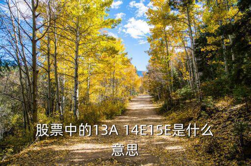 市盈率13a什么意思，財(cái)務(wù)報(bào)表中13A 14E 是什么意思