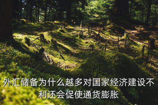 外匯儲(chǔ)備為什么越多對(duì)國家經(jīng)濟(jì)建設(shè)不利還會(huì)促使通貨膨脹
