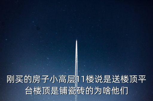 剛買的房子小高層11樓說是送樓頂平臺(tái)樓頂是鋪瓷磚的為啥他們