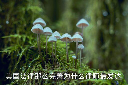 為什么美國賠償那么高，美國人為什么那么高