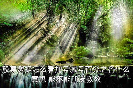 證券如何看漲停加減什么意思，漲停時(shí)買一后邊的數(shù)加減是什么意思