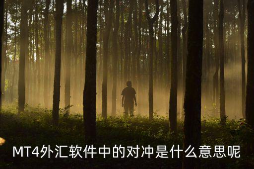 MT4外匯軟件中的對沖是什么意思呢