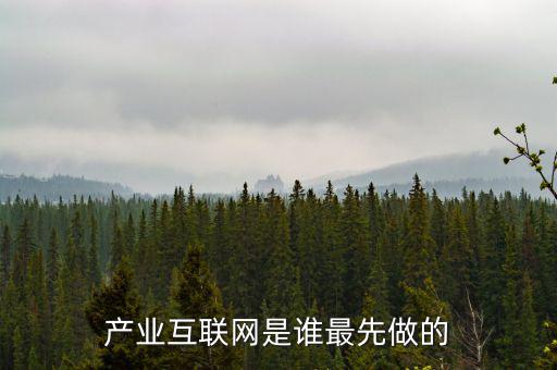 產(chǎn)業(yè)互聯(lián)網(wǎng)是什么龍頭，產(chǎn)業(yè)互聯(lián)網(wǎng)是誰最先做的