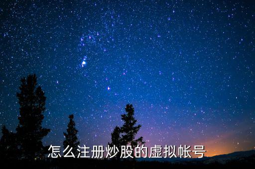 虛擬證券賬戶是什么，什么叫股票的虛擬賬戶