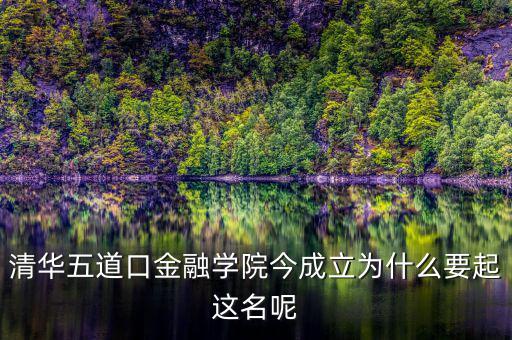 清華五道口金融學(xué)院今成立為什么要起這名呢