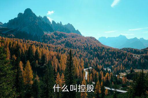 什么是控股關(guān)系，什么叫控股