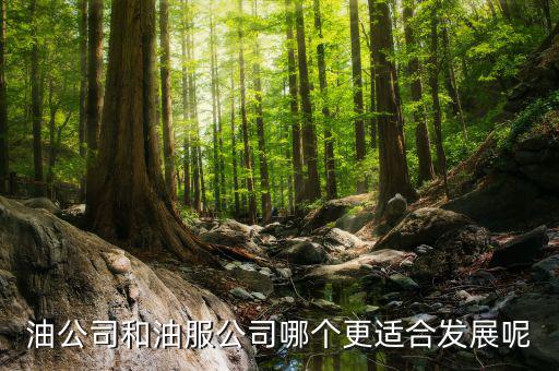 油服行業(yè)是什么，在油服公司做hr是做些什么