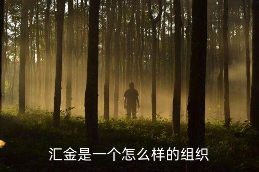 中央?yún)R金干什么的，匯金是一個(gè)怎么樣的組織