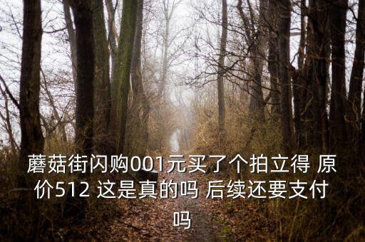 蘑菇街閃購(gòu)001元買了個(gè)拍立得 原價(jià)512 這是真的嗎 后續(xù)還要支付嗎