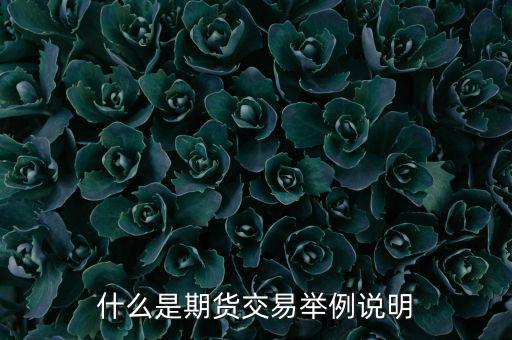 期權(quán)期貨是什么意思，期權(quán)與期貨是什么意思