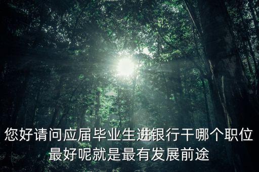 您好請(qǐng)問(wèn)應(yīng)屆畢業(yè)生進(jìn)銀行干哪個(gè)職位最好呢就是最有發(fā)展前途