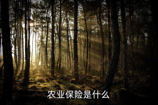傳統(tǒng)農(nóng)業(yè)保險主要保什么風(fēng)險，農(nóng)業(yè)保險是什么