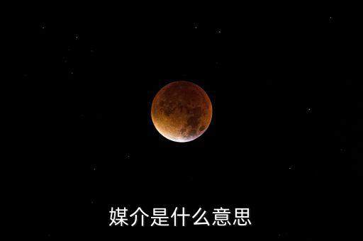 媒介是什么意思