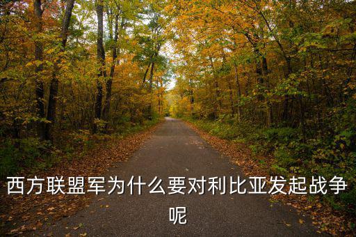 歐債危機(jī)下的法國(guó)為什么要發(fā)動(dòng)利比亞戰(zhàn)爭(zhēng)，西方聯(lián)盟軍為什么要對(duì)利比亞發(fā)起戰(zhàn)爭(zhēng)呢