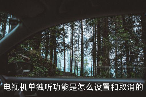 tcl電視單獨聽什么意思，電視機單獨聽功能是怎么設(shè)置和取消的