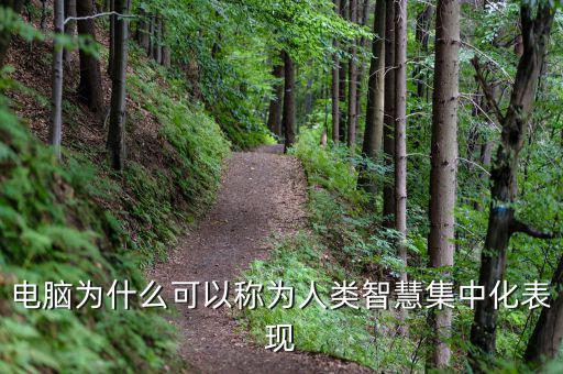 電腦為什么能夠做人工智能，電腦為什么可以稱為人類智慧集中化表現(xiàn)