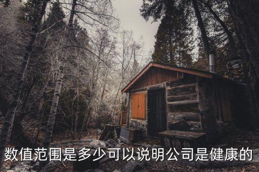 什么是企業(yè)健康值，經(jīng)常聽朋友說他們公司員工健康福利的M值有多高我想問一下這個M