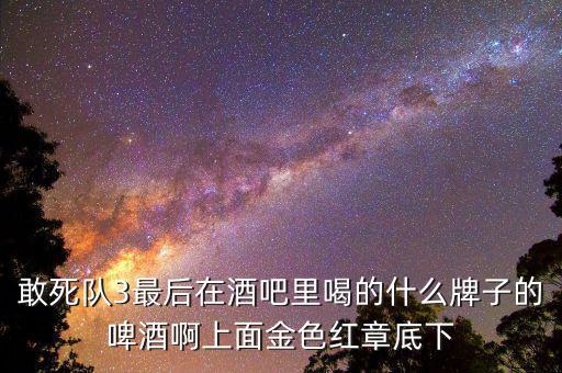敢死隊(duì)3喝的什么啤酒，敢死隊(duì)3酒吧里吃的這是什么