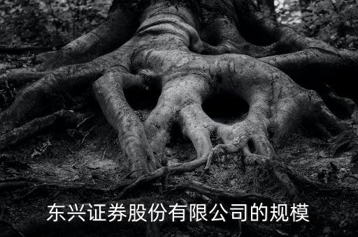 東興證券為什么是龍頭，東興證券這家證券公司怎么樣