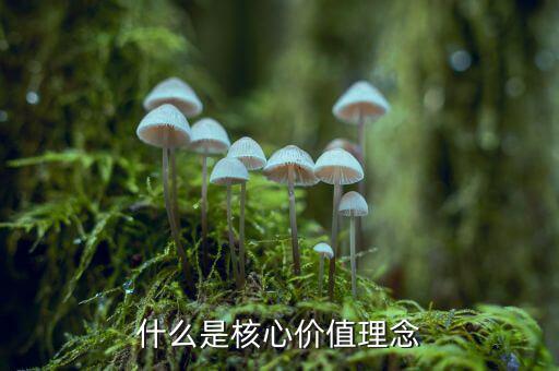 什么是核心價值理念，什么是核心價值理念
