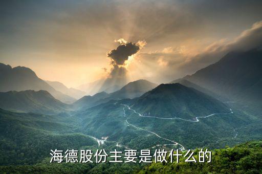 德力股份是干什么的，德國力斯集團(tuán)以前主要是做什么的啊