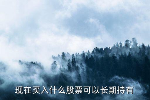 長(zhǎng)期投資買什么股票，什么股票有長(zhǎng)期投資價(jià)值