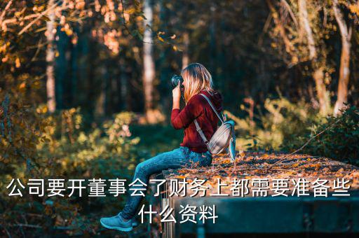 公司要開董事會(huì)了財(cái)務(wù)上都需要準(zhǔn)備些什么資料