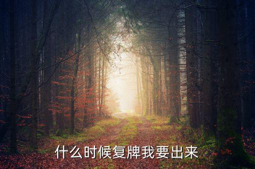 什么時(shí)候復(fù)牌我要出來