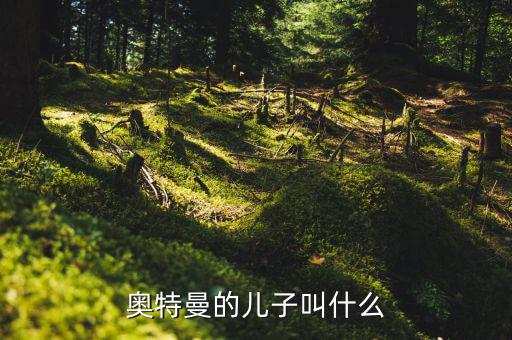 奧特佳老總兒子叫什么，奧特曼的兒子叫什么