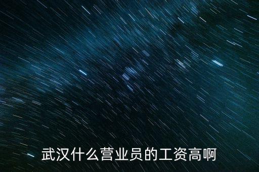武漢什么營業(yè)員的工資高啊