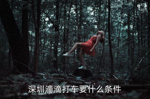 深圳交通滴滴有什么政策，申請深圳滴滴對司機(jī)有些什么要求嗎