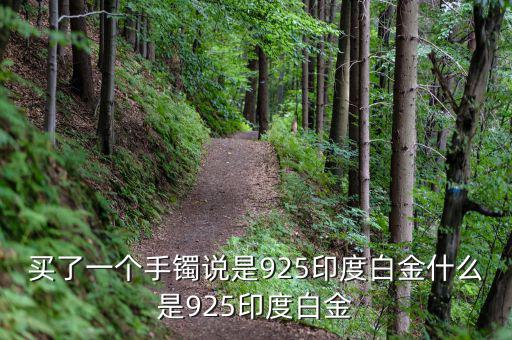買(mǎi)了一個(gè)手鐲說(shuō)是925印度白金什么是925印度白金