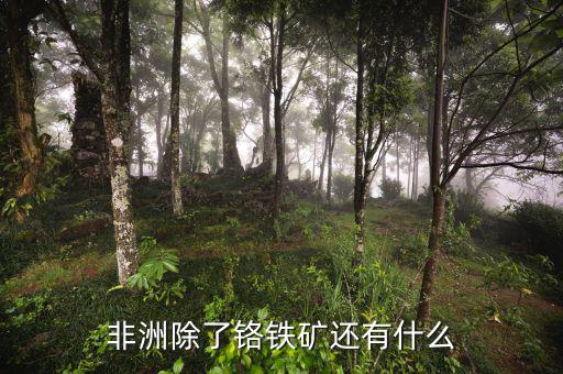 非洲有什么礦產(chǎn)資源，非洲哪些礦產(chǎn)豐富