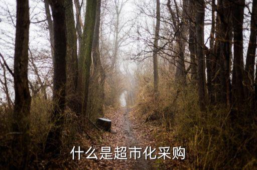 超市化采購(gòu)什么意思，什么是超市化采購(gòu)