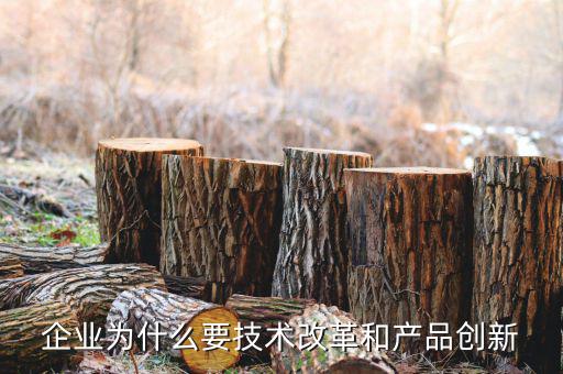 企業(yè)為什么要技術改革和產(chǎn)品創(chuàng)新