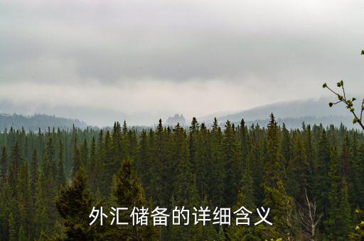 外匯儲備包括什么，外匯儲備指什么是用黃金或紙幣來儲備