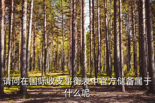官方儲備資產(chǎn)包括什么，官方儲備資產(chǎn)包括固定資產(chǎn)嗎