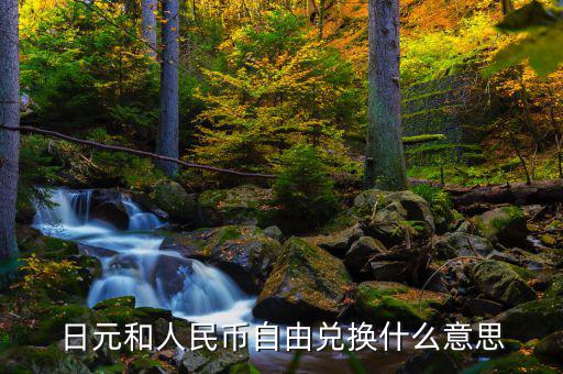 日元和人民幣自由兌換什么意思