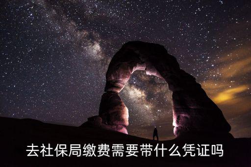 去社保局申報(bào)年度繳費(fèi)工資需要帶什么證件，去社保局繳費(fèi)需要帶什么憑證嗎