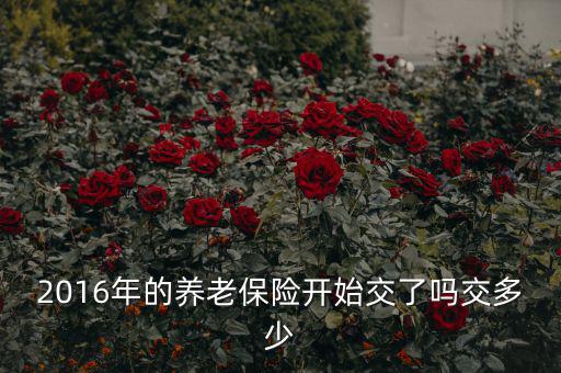 2016新農(nóng)保什么時(shí)候繳，2016年的養(yǎng)老保險(xiǎn)開(kāi)始交了嗎交多少