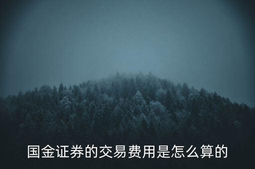國(guó)金融資開倉(cāng)費(fèi)用是什么，國(guó)金證券的交易費(fèi)用是怎么算的