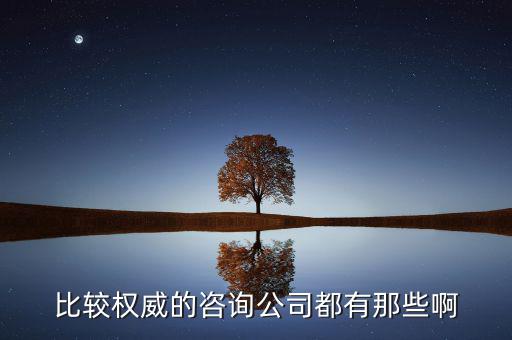 艾瑞和易觀是什么公司，易觀國際有幾個(gè)子公司