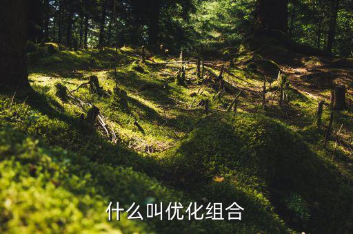 優(yōu)化重組是什么書，什么叫優(yōu)化組合
