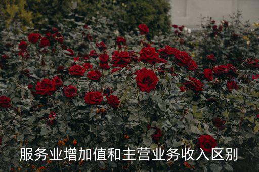 服務(wù)業(yè)增加值和主營(yíng)業(yè)務(wù)收入?yún)^(qū)別