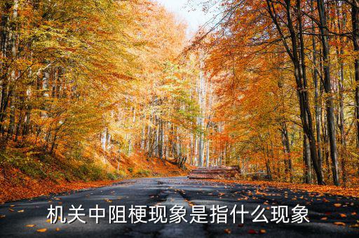 什么是中阻梗與最后一公里，無線網絡中最后一公里是什么意思