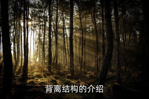 什么是帶結(jié)構(gòu)的背離，背離結(jié)構(gòu)的介紹