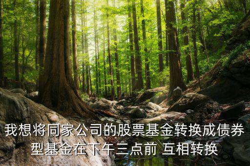我想將同家公司的股票基金轉換成債券型基金在下午三點前 互相轉換