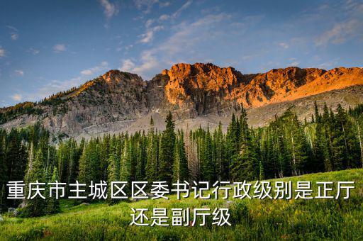 重慶市主城區(qū)區(qū)委書記行政級別是正廳還是副廳級