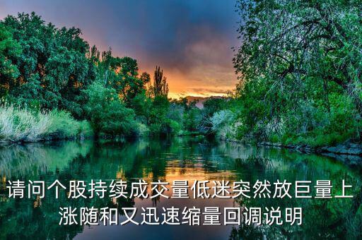 請(qǐng)問個(gè)股持續(xù)成交量低迷突然放巨量上漲隨和又迅速縮量回調(diào)說明