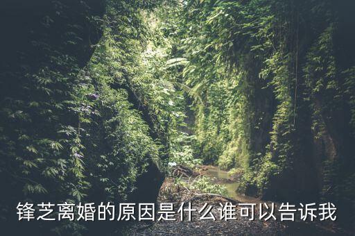 胡芝容為什么離婚，鋒芝戀離婚原因是為什么